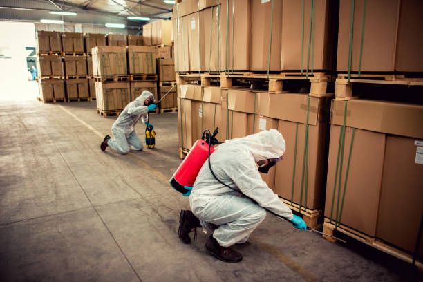 Best Ant Control Services  in Ashland, PA