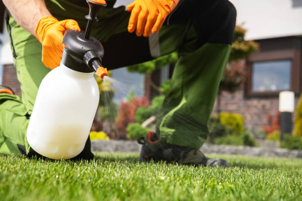 Best Bed Bug Extermination  in Ashland, PA