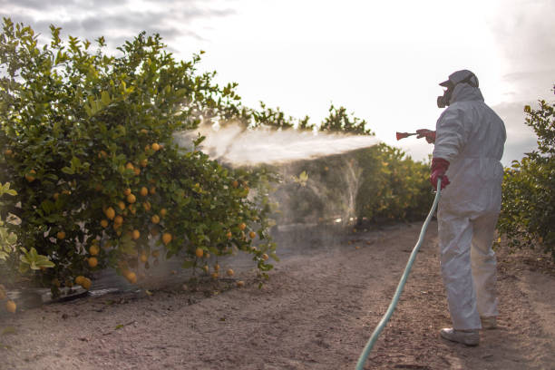 Best Pest Control Cost  in Ashland, PA