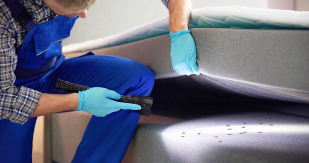 Best Local Pest Control Services  in Ashland, PA