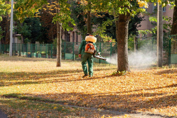Best Emergency Pest Control  in Ashland, PA