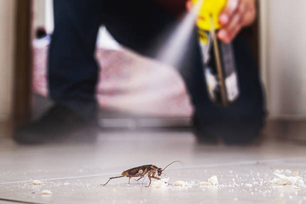 Best Exterminator Services  in Ashland, PA