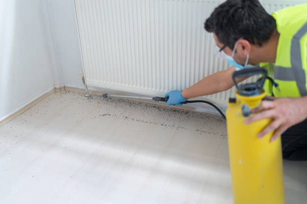 Best Commercial Pest Control Services  in Ashland, PA