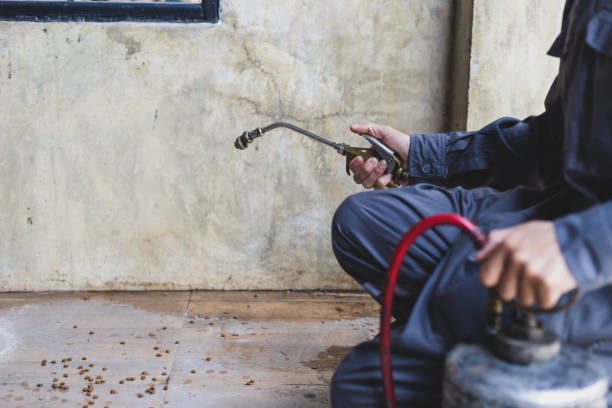 Best Affordable Pest Control Services  in Ashland, PA